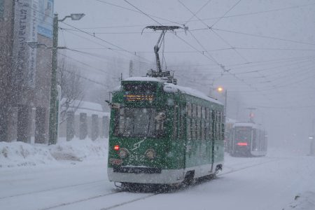 「大雪だって大丈夫！」 
