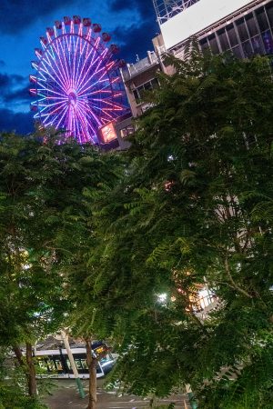 「緑多い街角をつなぐ、観光の街角をつなぐ。」 