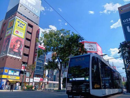 「夏のすすきの」 