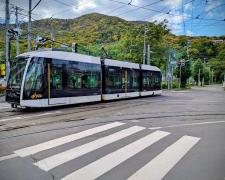 「紅葉に映える」 