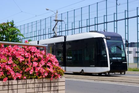 「つつじが咲く頃」 